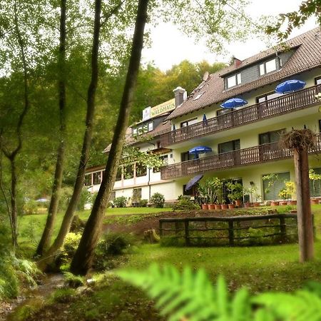 Hotel Waldhaus Меспелбрун Екстериор снимка